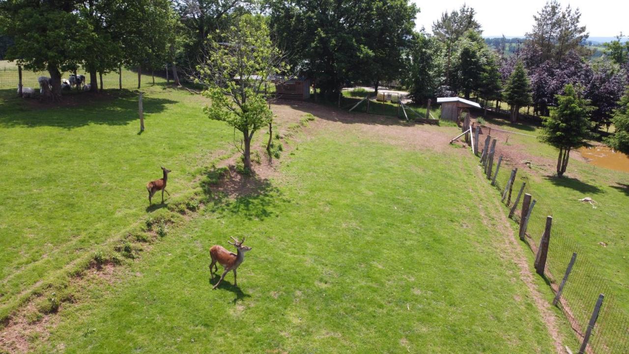 Brochepierre 28 Pers- Vue Exceptionnelle - Malmedy Villa Eksteriør billede